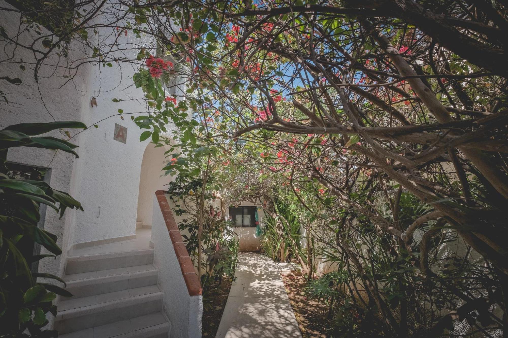 Sotavento Hotel & Yacht Club Cancun Exterior photo